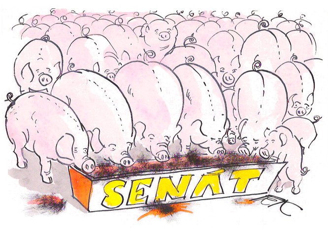 Sen%C3%A1tn%C3%AD-koryto.jpg