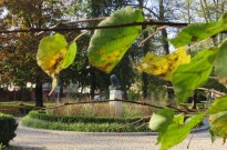 IMG_3066
