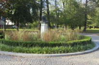 IMG_3071