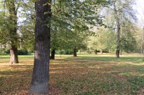 IMG_3079