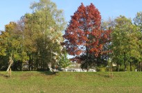 IMG_3147