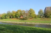 IMG_3155