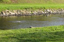 IMG_3167