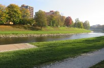 IMG_3169