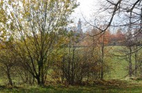 IMG_2619