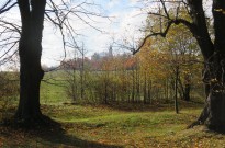 IMG_2623