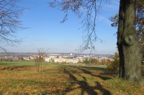 IMG_2646