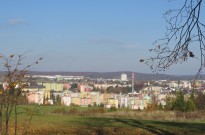IMG_2649