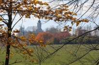 IMG_2653