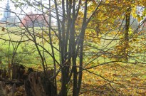 IMG_2756
