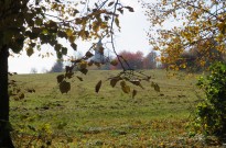 IMG_2758