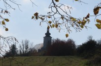IMG_2768
