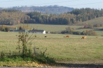 IMG_2978