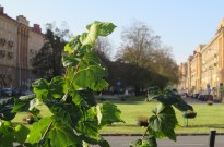 IMG_3380