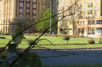 IMG_3429