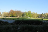 IMG_3504