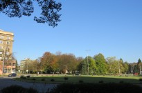 IMG_3507