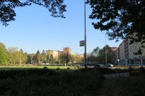 IMG_3508