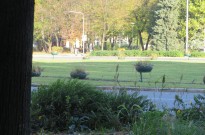 IMG_3513