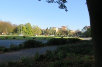 IMG_3515