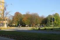 IMG_3519