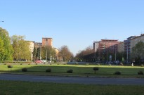 IMG_3523