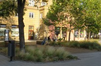 IMG_3534