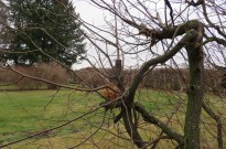 IMG_3590
