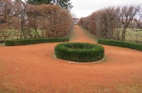 IMG_3603