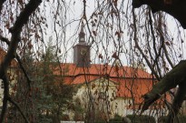IMG_3645