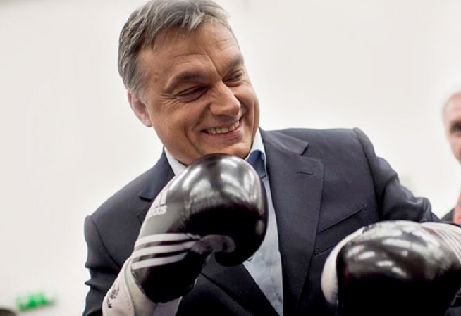 Viktor Orbán | foto: femina.hu